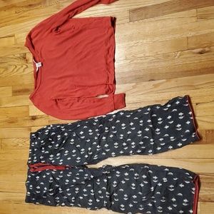 VS sleep set penguins